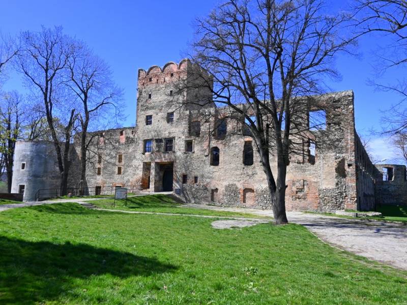 Zamek w Ząbkowicach Śląskich